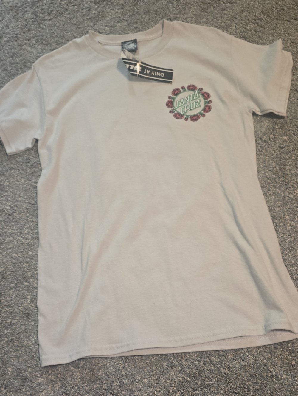 Santa Cruz Skateboards Logo Tee in Light Beige